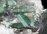 Beryl (Var: Emerald) Crystals in Biotite & Quartz - Bahia, Brazil #44123-3